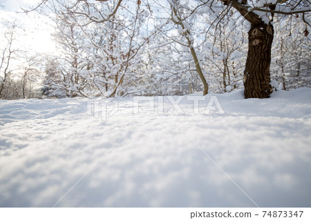 Snow texture. Winter background of snow and frost with free space for your decoration Snow texture. Winter background of snow and frost with free space for your decoration 74873347