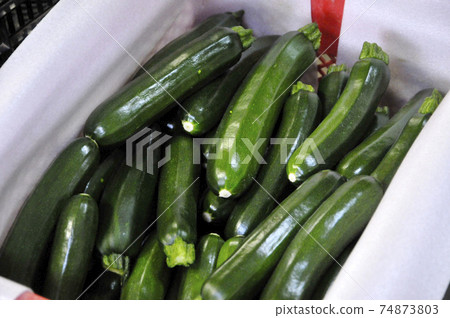 zucchini zucchini 74873803