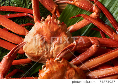 Boyle Crab Crab 74873987