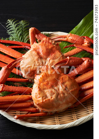 Boyle Crab Crab 74873993