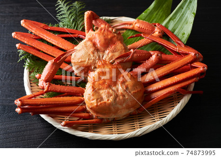 Boyle Crab Crab 74873995