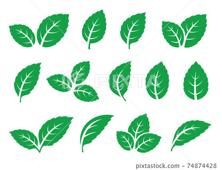set of green leaves mint tea icons 74874428