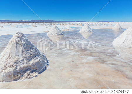 Salt 74874487