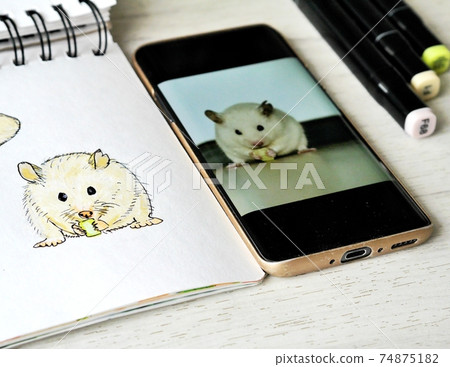 result of sketching photo of eathing white hamster 74875182
