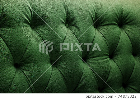 Thuja occidentalis is an evergreen coniferous tree Thuja occidentalis is an evergreen coniferous tree 74875322