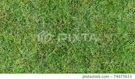Fully seamless authentic real mown grass green background. 40 Mpix tileable both vertically and horizontally Fully seamless authentic real mown grass green background. 40 Mpix tileable both vertically and horizontally 74875633