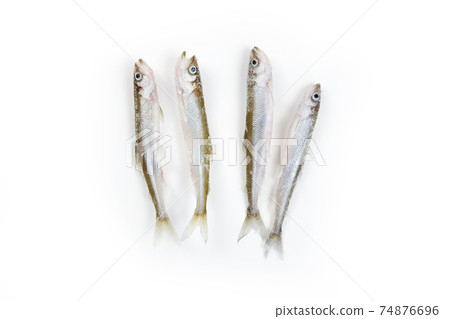 Deep frozen raw smelt fishes with ice pieces isolated on white background. Top view, copy space. Osmerus eperlanus. Deep frozen raw smelt fishes with ice pieces isolated on white background. Top view, copy space. Osmerus eperlanus. 74876696