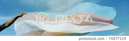 person with a transgender pride flag, web banner person with a transgender pride flag, web banner 74877329
