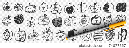 Apple fruits with patterns doodle set 74877867