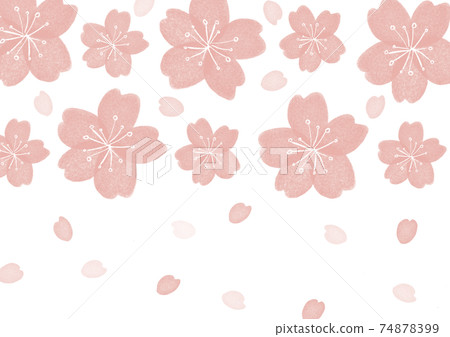 Cherry background Cherry background 74878399