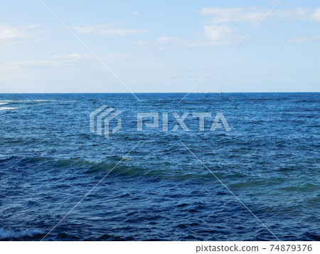 sea 74879376