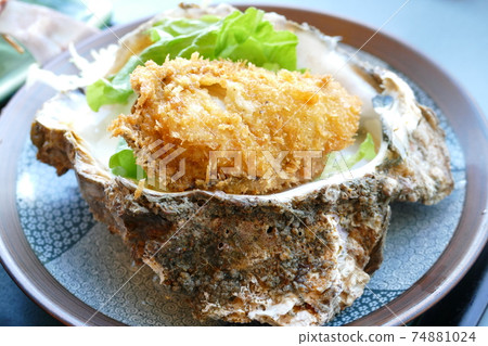 Aichi Prefecture Atsumi Peninsula Seafood Cuisine Kaki Fry Aichi Prefecture Atsumi Peninsula Seafood Cuisine Kaki Fry 74881024