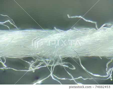 Micrograph of thread 74882453
