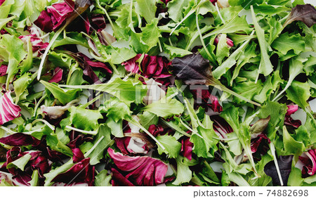 Green and purple salad leafs mix background 74882698