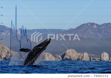 Breaching whale with stock market money cripto value bitcoin diagram flow chart 74883152