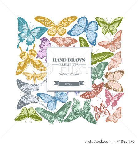 Square design with pastel great orange-tip, emerald swallowtail, jungle queens, plain tiger, rajah 74883476