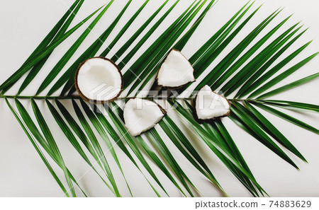 Broken coconuts on white background on leaf. White coconut pulp 74883629