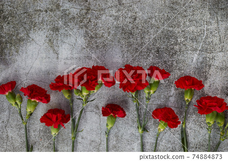 Beaytiful carnation flowers on grey background. Top view 74884873