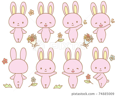 Cute rabbit 74885009