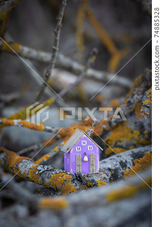 Miniature little violet colored cottage among old trees branches background Miniature little violet colored cottage among old trees branches background 74885328