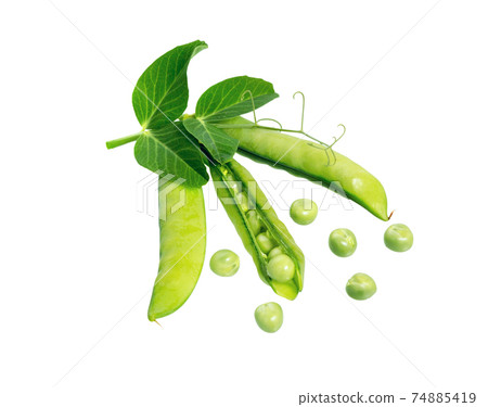 Peas pods isolated. Peas pods isolated. 74885419