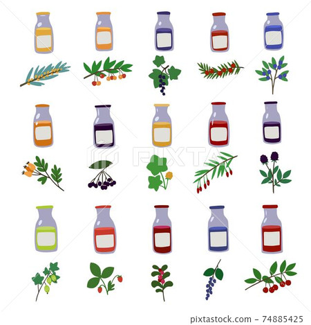 Set with hand drawn doodle branches of berries and juice bottles. Set with hand drawn doodle branches of berries and juice bottles. 74885425