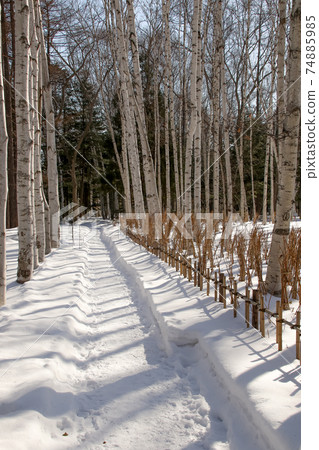 Winter, snow, Hokkaido, northern country, snow cover, Japan, snow country, outdoors, snow scene, winter scenery, park, public facilities 74885985
