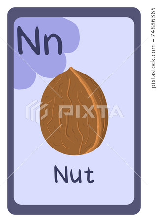 Colorful abc education flash card, Letter N - nut in shell, walnut. Colorful abc education flash card, Letter N - nut in shell, walnut. 74886365