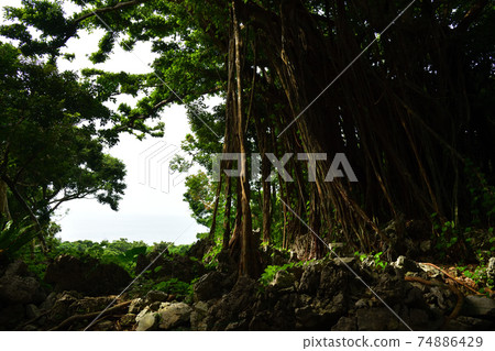 From Daisekirinzan 74886429