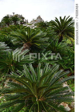 From Daisekirinzan 74886464