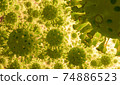 Coronavirus 2019-nCov novel coronavirus concept. Microscope virus close up. 74886523