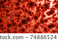 Coronavirus 2019-nCov novel coronavirus concept. Microscope virus close up. 74886524