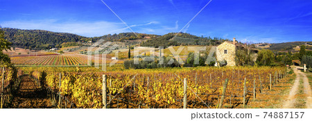 Golden vineyards. Beautiful Tuscany landscape in autumn colors. Italy Golden vineyards. Beautiful Tuscany landscape in autumn colors. Italy 74887157