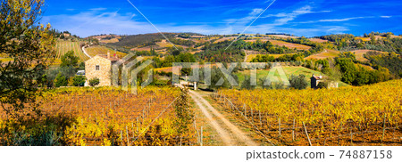 Golden vineyards. Beautiful Tuscany landscape in autumn colors. Italy Golden vineyards. Beautiful Tuscany landscape in autumn colors. Italy 74887158