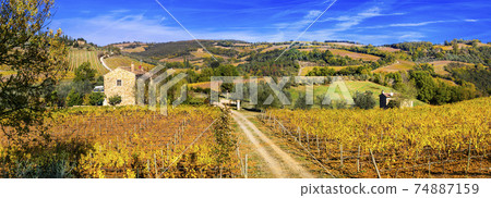 Golden vineyards. Beautiful Tuscany landscape in autumn colors. Italy Golden vineyards. Beautiful Tuscany landscape in autumn colors. Italy 74887159