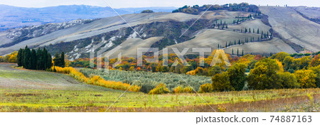 Traditional rural scenery of beautiful Tuscany. Italy Traditional rural scenery of beautiful Tuscany. Italy 74887163