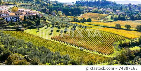 Traditional rural landscapes and villages of Tuscany. Chianty vine region. Italy Traditional rural landscapes and villages of Tuscany. Chianty vine region. Italy 74887165