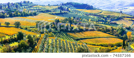 Golden rolling hills and vineyards of Tuscany, Chianti wine region of Italy Golden rolling hills and vineyards of Tuscany, Chianti wine region of Italy 74887166