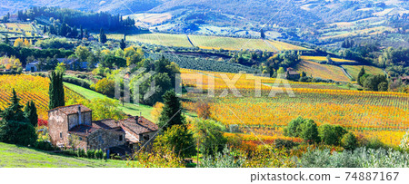 Golden rolling hills and vineyards of Tuscany, Chianti wine region of Italy Golden rolling hills and vineyards of Tuscany, Chianti wine region of Italy 74887167