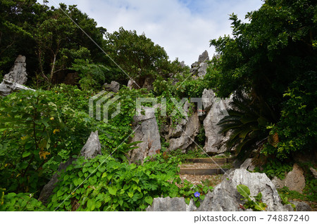 從大雪林山 74887240