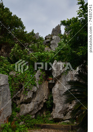 從大雪林山 74887241