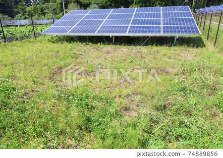 Solar power plant after mowing Solar power plant after mowing 74889856