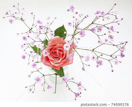 A single rose and baby's breath bouquet A single rose and baby's breath bouquet 74890576