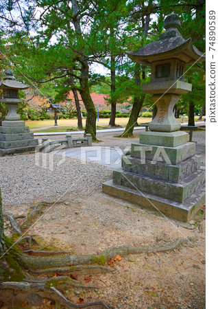 Izumo Taisha, Pathway of Pine Tree, Izumo City 74890589