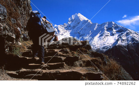 Everest  74892262