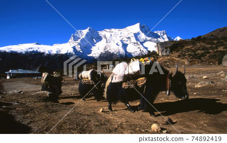 喜馬拉雅山 74892419