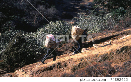 Himalaya Himalaya 74892423