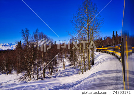 The Alaska Aurora train running in the snow. The Alaska Aurora train running in the snow. 74893171