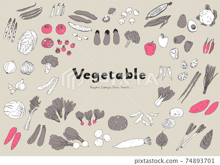 Vegetable illustration set-hand drawn Vegetable illustration set-hand drawn 74893701