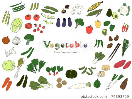 蔬菜插圖集手繪 蔬菜插圖集手繪 74893709